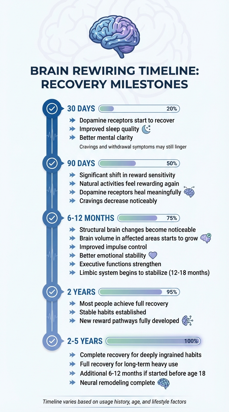 Brain Rewiring Timeline After Quitting Porn: Recovery Milestones from 30 Days to 5 Years